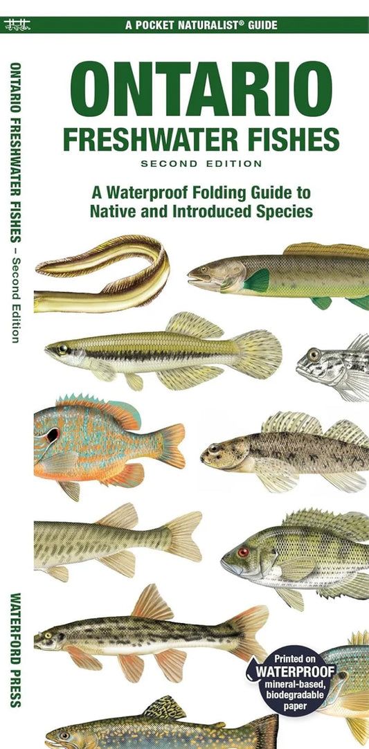 Ontario Freshwater Fish ID