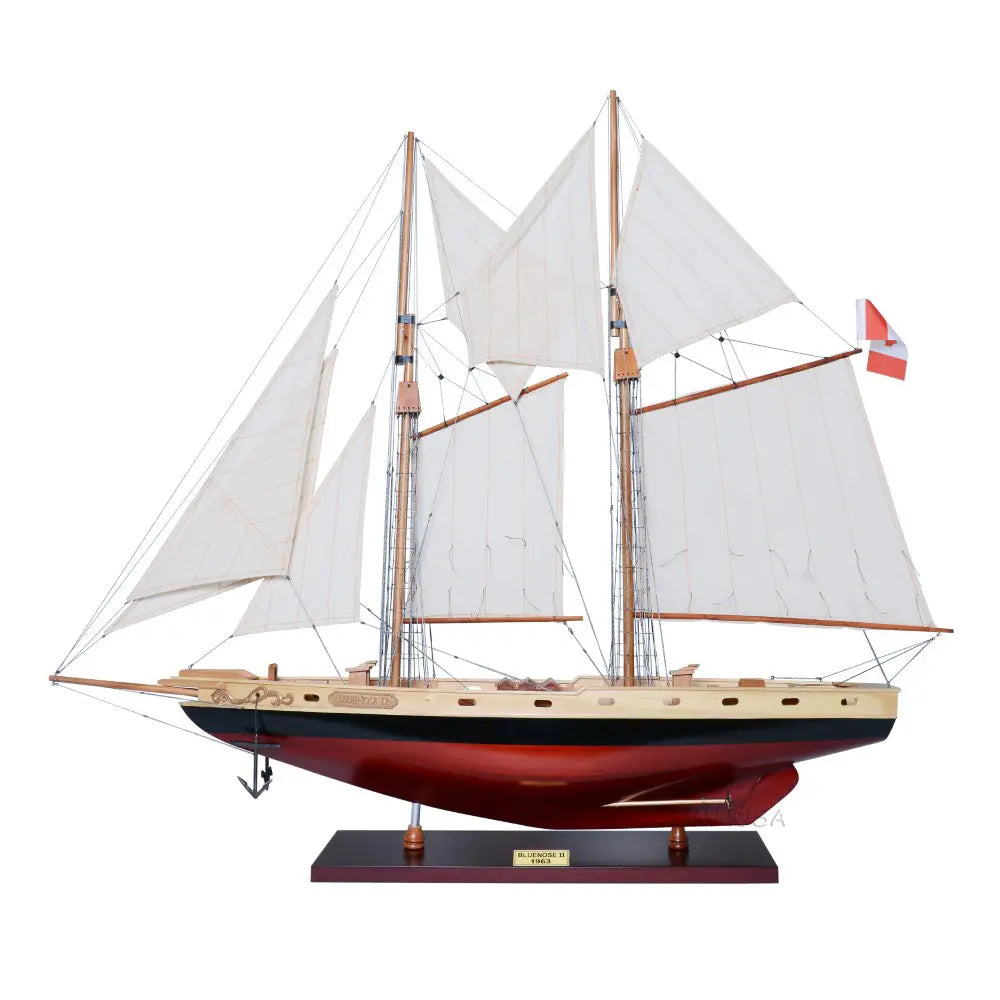 Bluenose II Painted Medium-Y133
