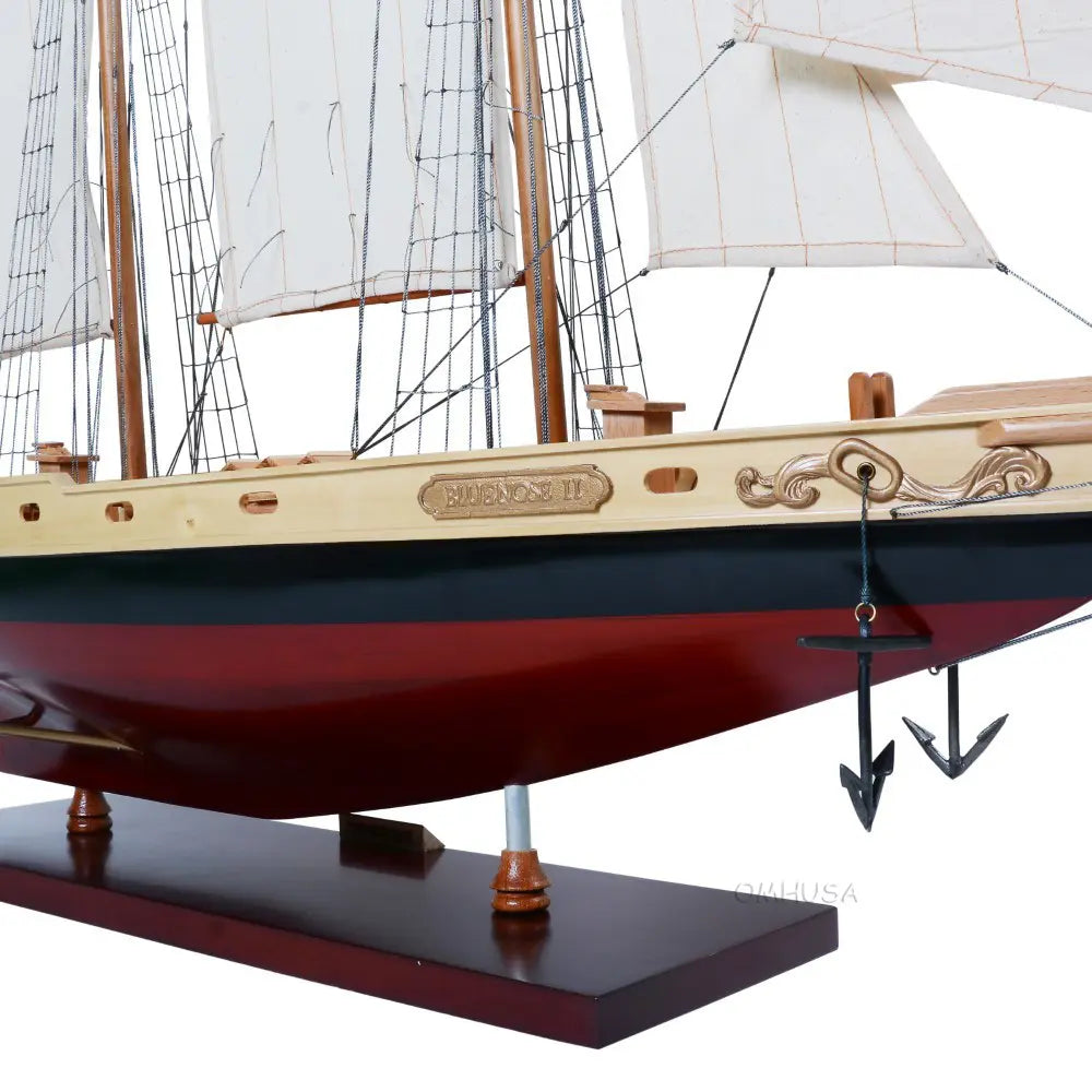 Bluenose II Painted Medium-Y133