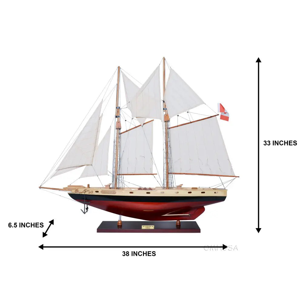 Bluenose II Painted Medium-Y133