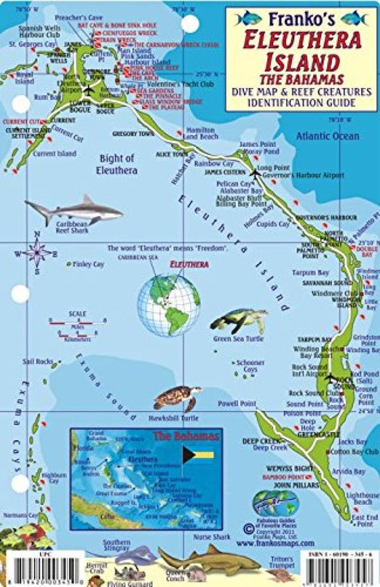 Franko's Eleuthera Island : the Bahamas : reef creatures identification guide