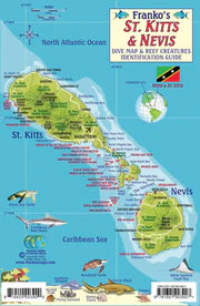 ST. KITTS & NEVIS FISH CARD