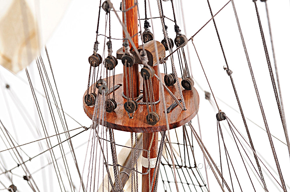 Soleil Royal Medium - T071