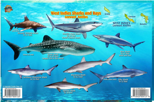 West Indies Sharks & Rays